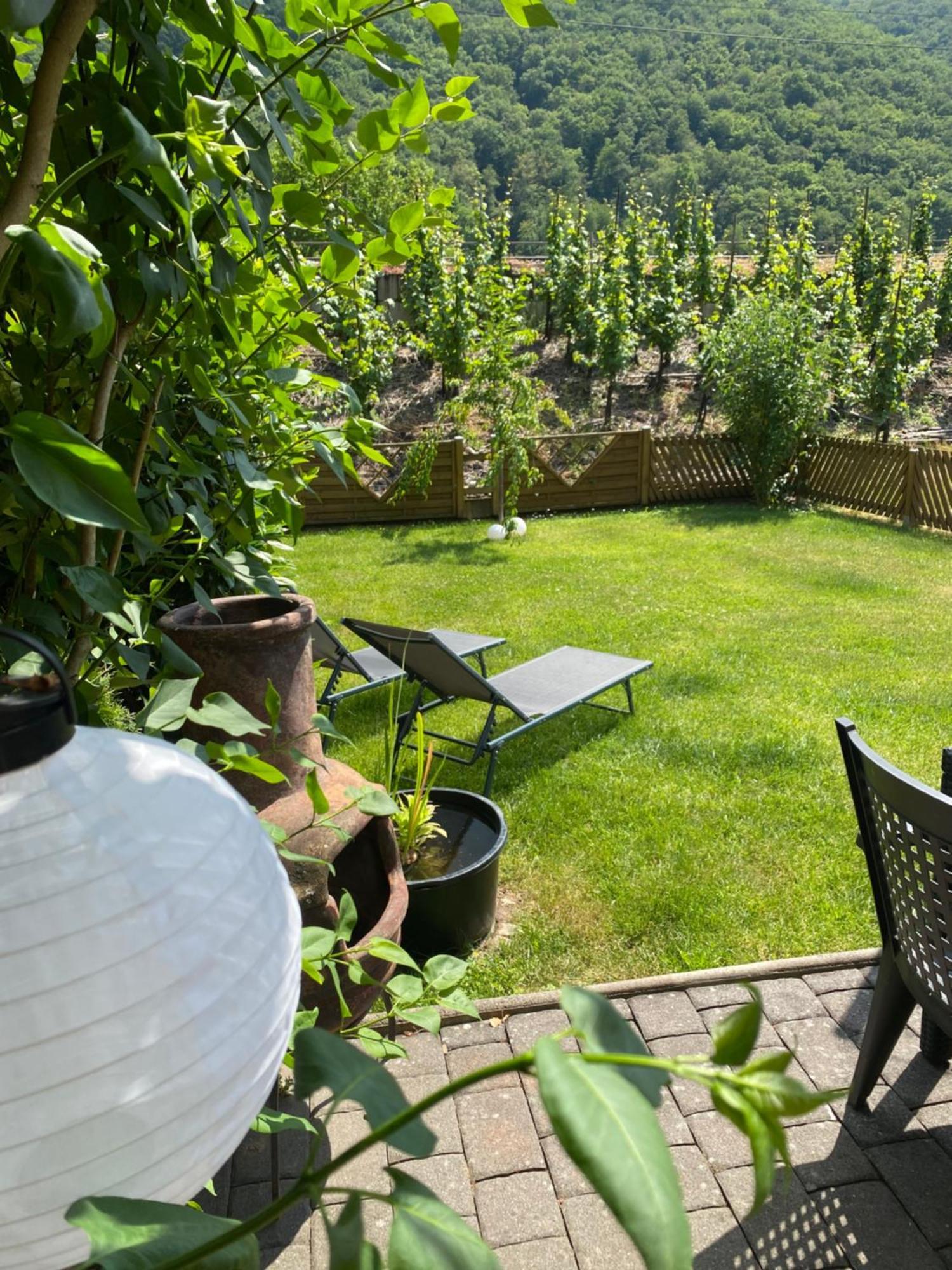 Ferienwohnung Ambiente II Und III Klotten Exteriör bild