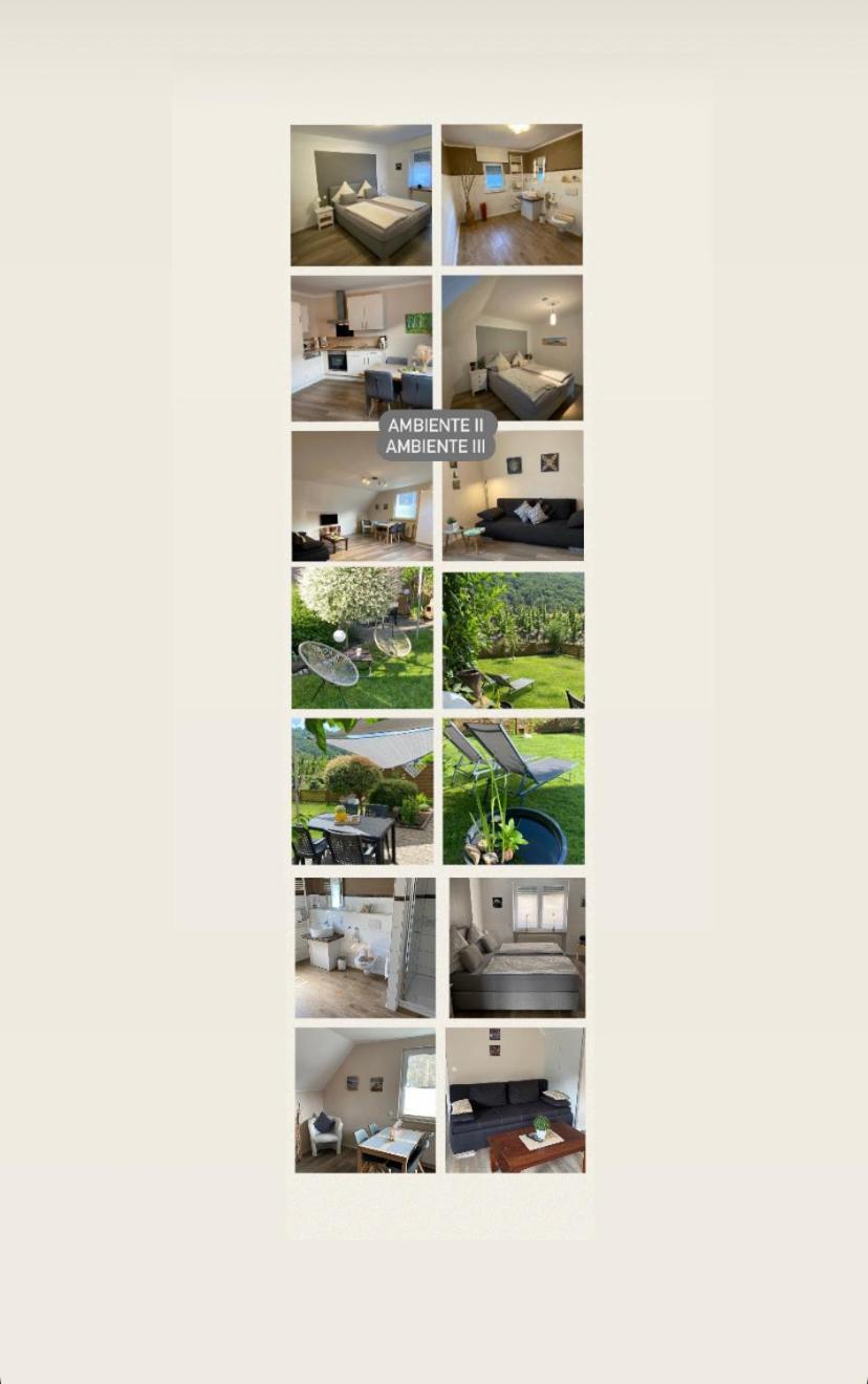 Ferienwohnung Ambiente II Und III Klotten Exteriör bild